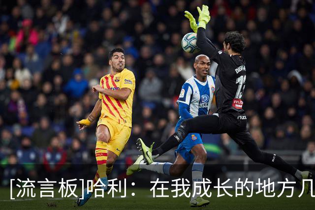 [流言板]哈利：在我成长的地方几乎没人打进NBA，我对现在心存感激